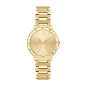 Hugo Boss Watch For Women 1502715